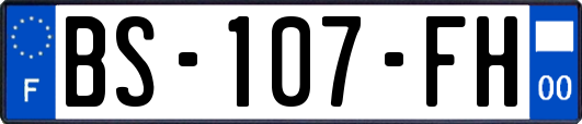 BS-107-FH