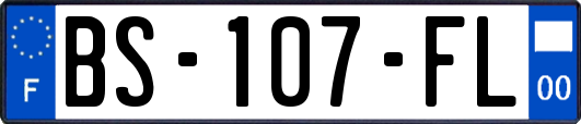 BS-107-FL