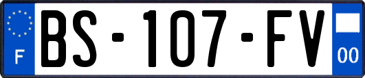 BS-107-FV