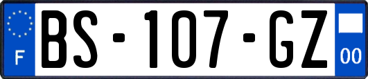 BS-107-GZ