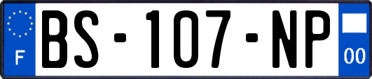 BS-107-NP
