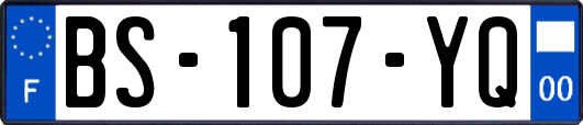 BS-107-YQ