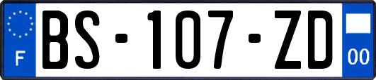 BS-107-ZD