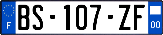 BS-107-ZF