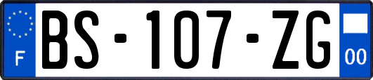BS-107-ZG