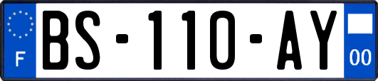 BS-110-AY