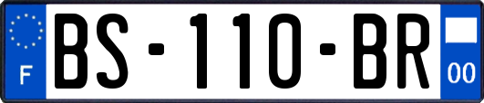 BS-110-BR