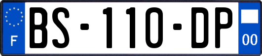 BS-110-DP