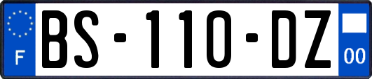 BS-110-DZ