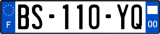 BS-110-YQ