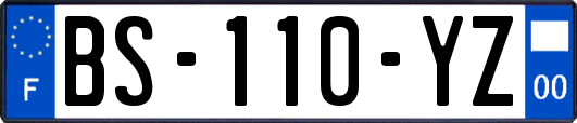 BS-110-YZ