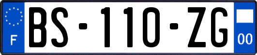 BS-110-ZG