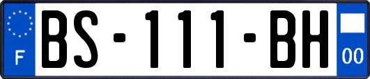 BS-111-BH