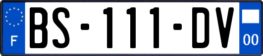 BS-111-DV