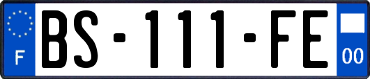 BS-111-FE