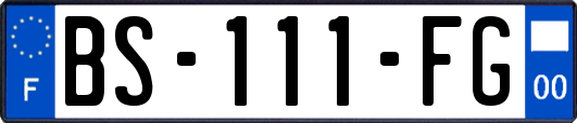 BS-111-FG