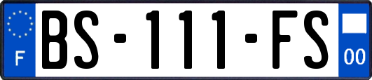 BS-111-FS