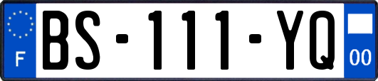 BS-111-YQ