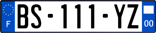 BS-111-YZ