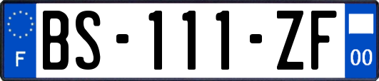 BS-111-ZF