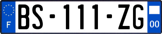 BS-111-ZG