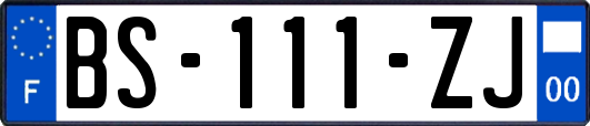 BS-111-ZJ