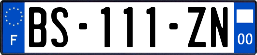 BS-111-ZN