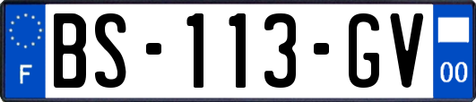 BS-113-GV