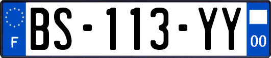 BS-113-YY