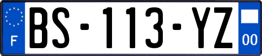 BS-113-YZ
