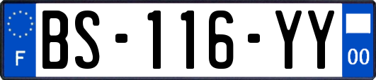 BS-116-YY