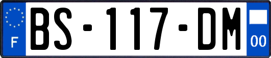 BS-117-DM