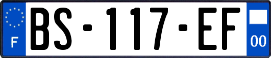 BS-117-EF