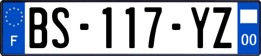 BS-117-YZ