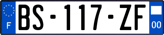 BS-117-ZF