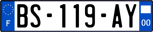 BS-119-AY