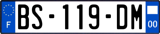 BS-119-DM