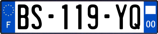 BS-119-YQ