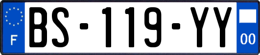 BS-119-YY