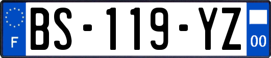 BS-119-YZ
