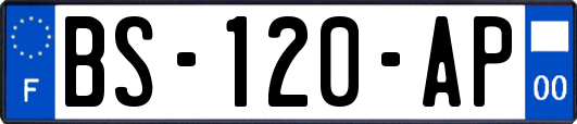 BS-120-AP