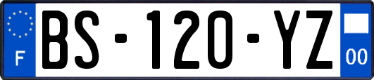 BS-120-YZ