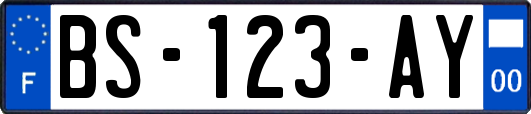 BS-123-AY