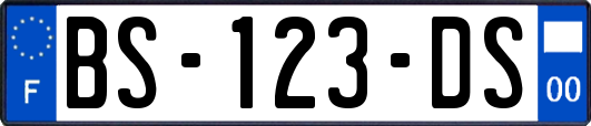 BS-123-DS