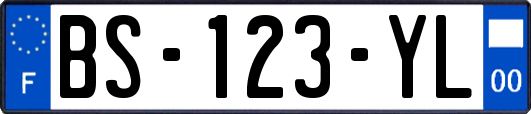 BS-123-YL