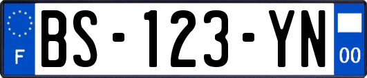 BS-123-YN