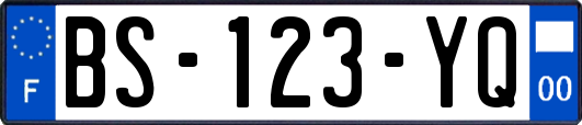 BS-123-YQ