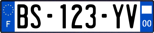 BS-123-YV