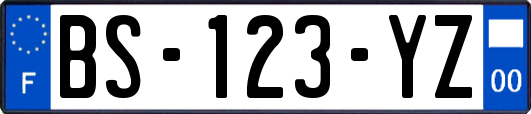 BS-123-YZ
