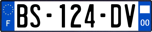 BS-124-DV